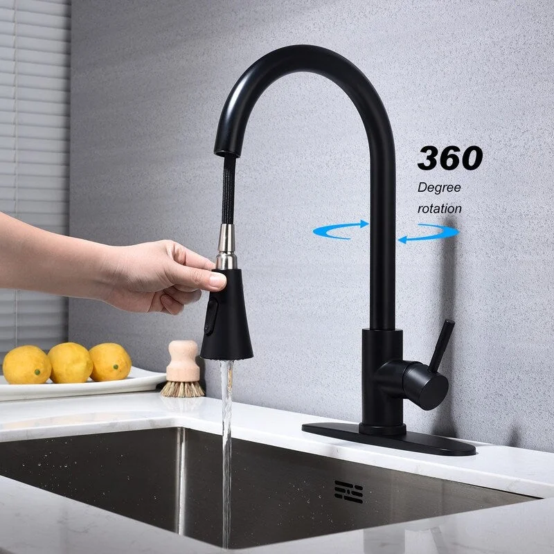 Black Kitchen Faucet with Pull Out Spraye