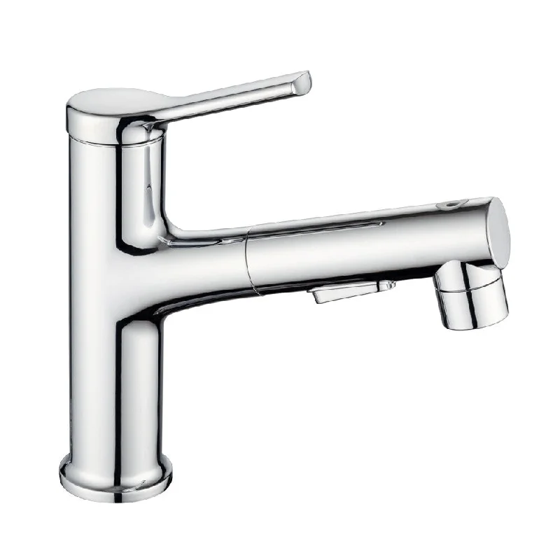 Single Hole Polished Chrome Bathroom Faucet for Sink with Pull Out Sprayer, Dual Spray Modes